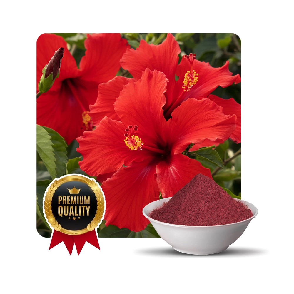 hibiscus flower powder for hair and manufacturer