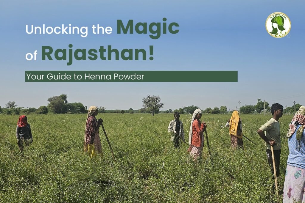 sojat henna for export and manufactureres