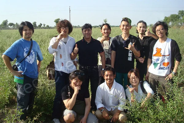 hair for hair dye colors