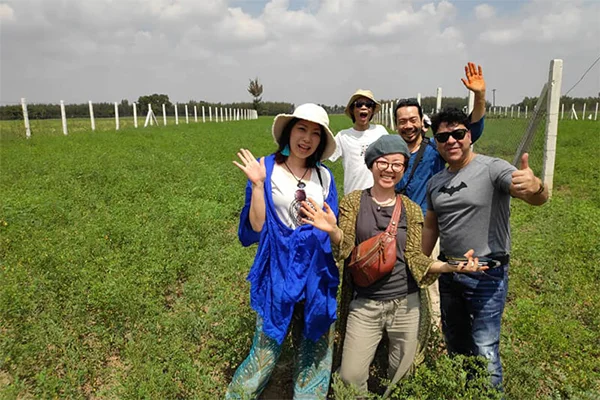 henna farms fe henna export and manufacturrers