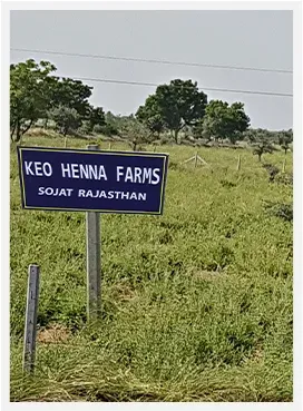 Henna-Farm