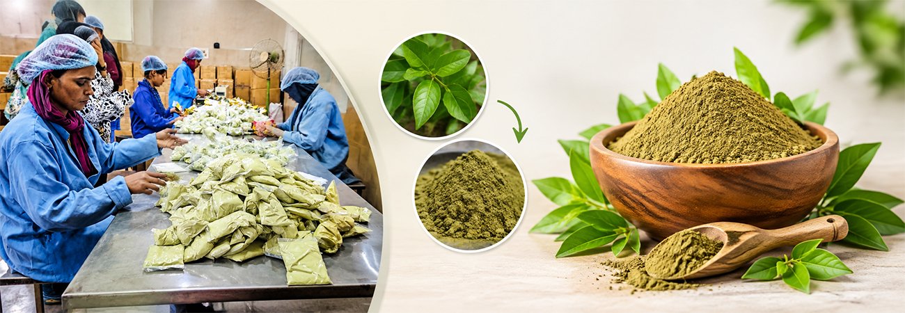 Where to Source 100% Natural Henna Powder in Bulk From a Reliable Manufacturer